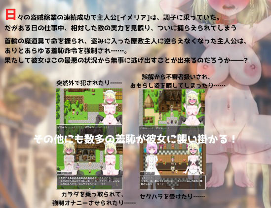 サンプル画像1:調子に乗って富豪の家に忍び込んだ巨乳盗賊ちゃんの末路(路満) [d_467958]