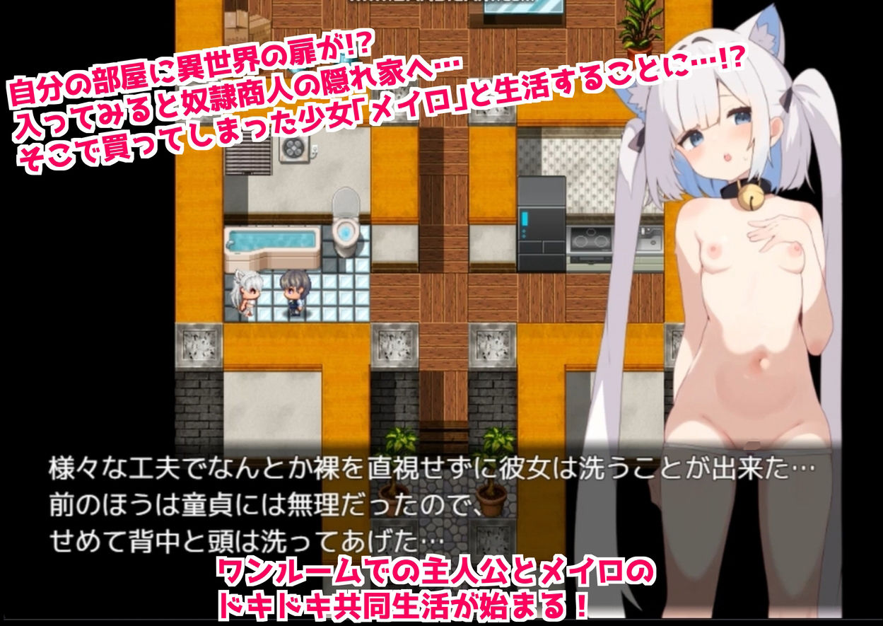 サンプル画像2:【ARPG】奴●首輪を手に入れた俺が美少女ハーレムを作るまで。(てとが) [d_474552]