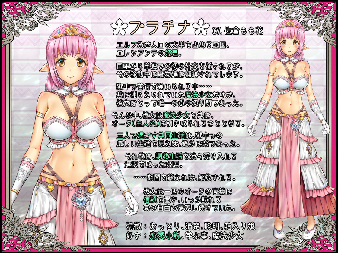 サンプル画像4:少女異種間獄 〜魔法少女＆エルフ姫、オークと過ごす異世界性活〜(オトギ堂) [d_485176]