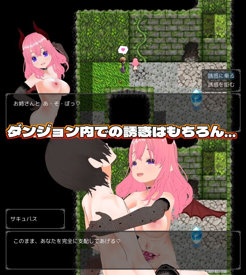 サンプル画像3:敗北射精のマゾ勇者〜サキュバスの淫らな誘惑〜(Animism) [d_507760]