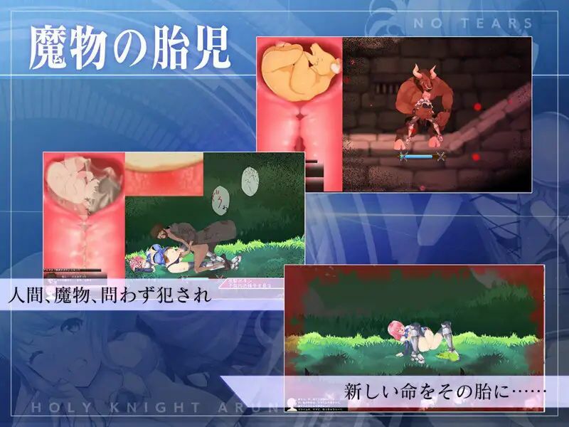 サンプル画像4:聖騎士アルネと魔孕の呪印〜Another No Tears〜(NoTears) [d_510518]