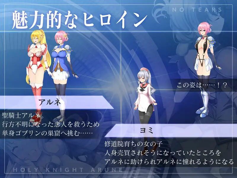 サンプル画像5:聖騎士アルネと魔孕の呪印〜Another No Tears〜(NoTears) [d_510518]