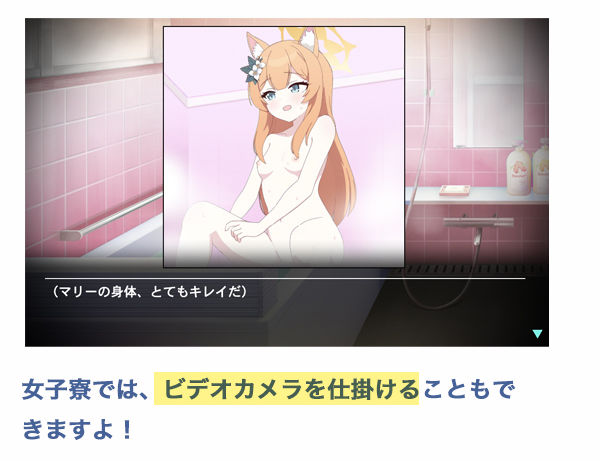 サンプル画像3:僕のマリー1 〜シスターフッド編〜【写真を撮っただけなのに】 Blue Photography(性育学園後援会) [d_518484]