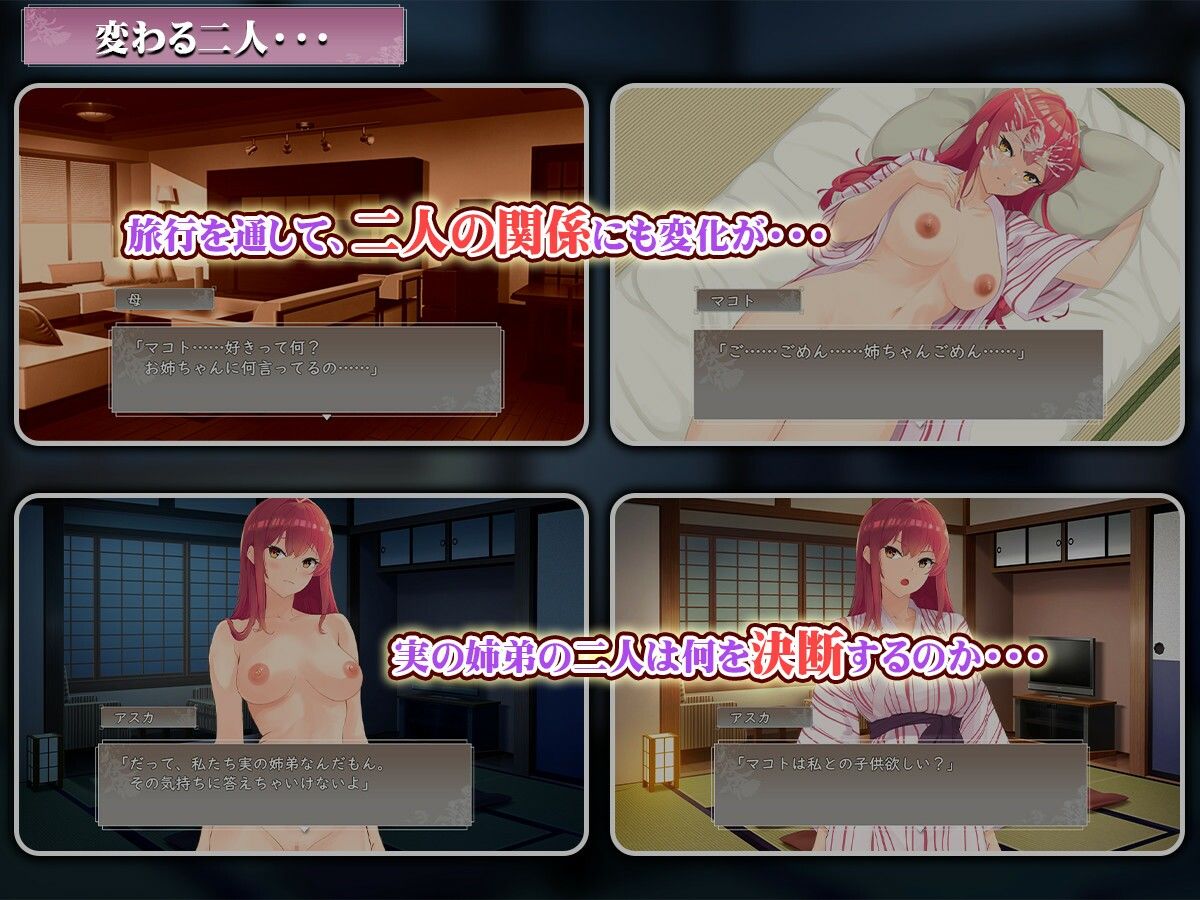 サンプル画像5:実姉純愛温泉郷(わたがし家) [d_529801]