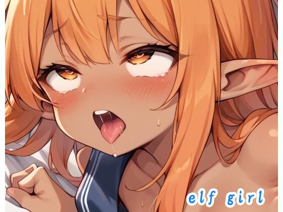 《d_537534》elf girl no.93のパッケージ画像