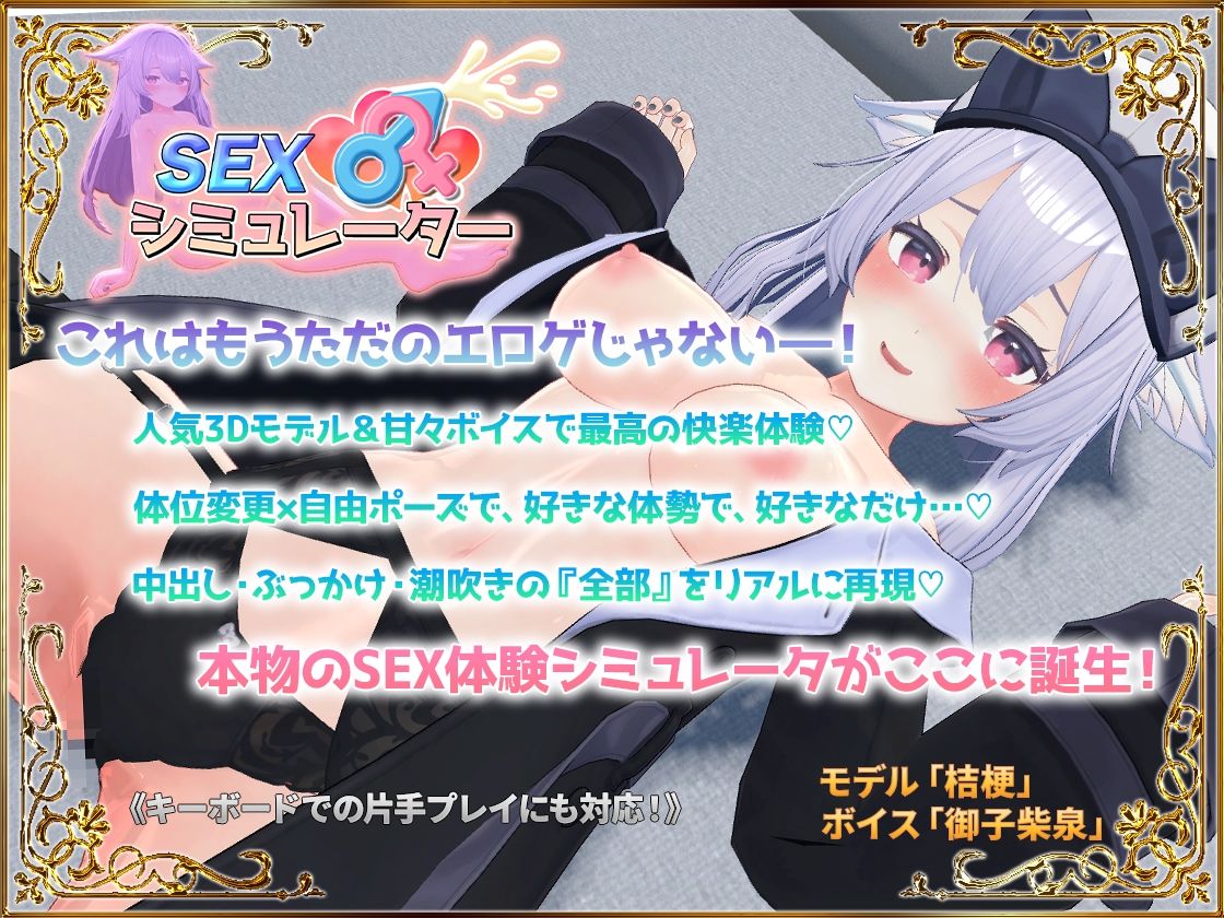 SEXシミュレーターの画像10