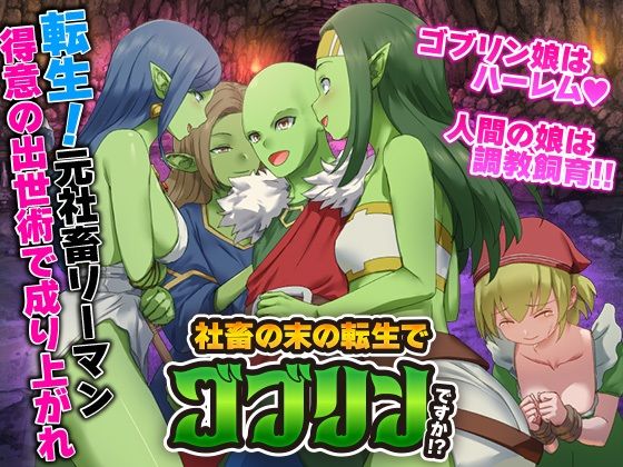 社畜の末の転生でゴブリンですか！？の商品画像