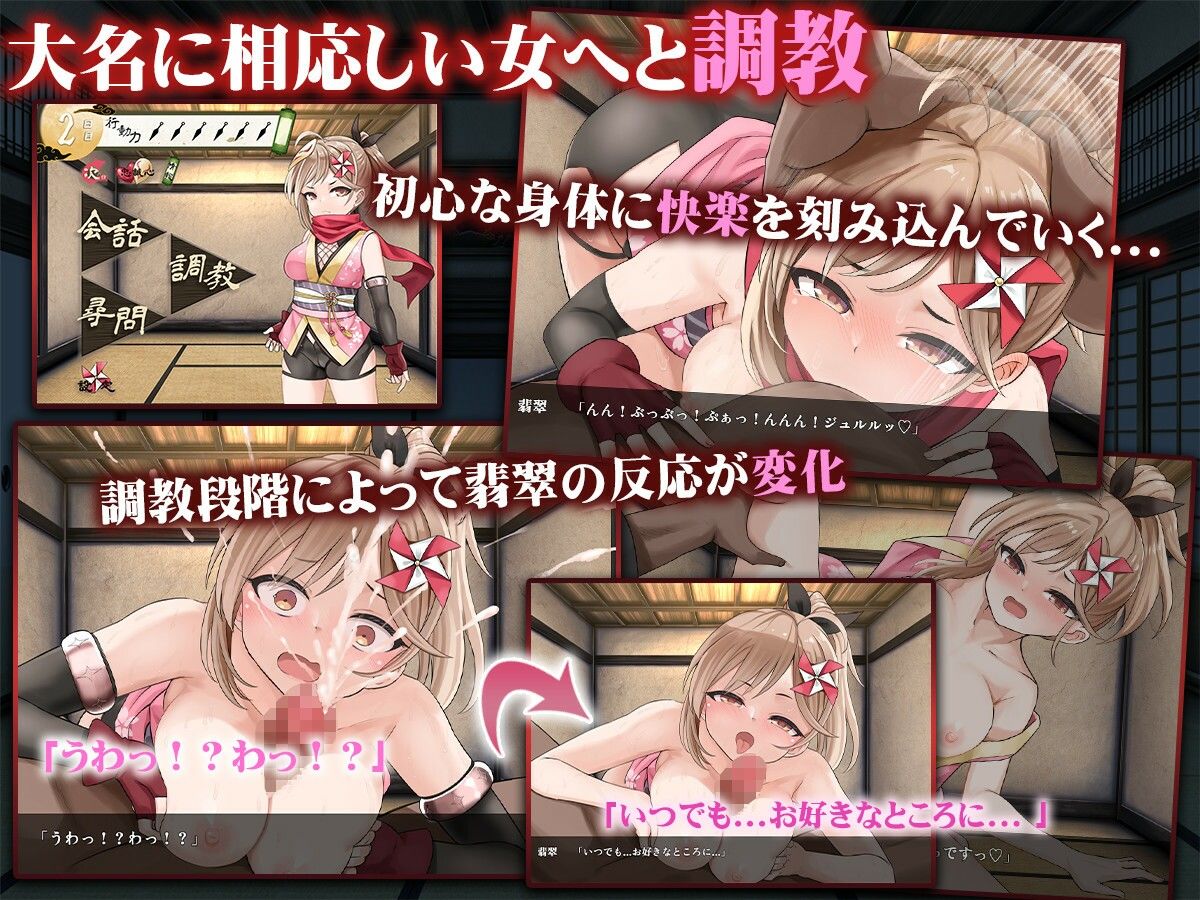 蜜壺の檻〜囚われくのいちの献上録〜の画像2
