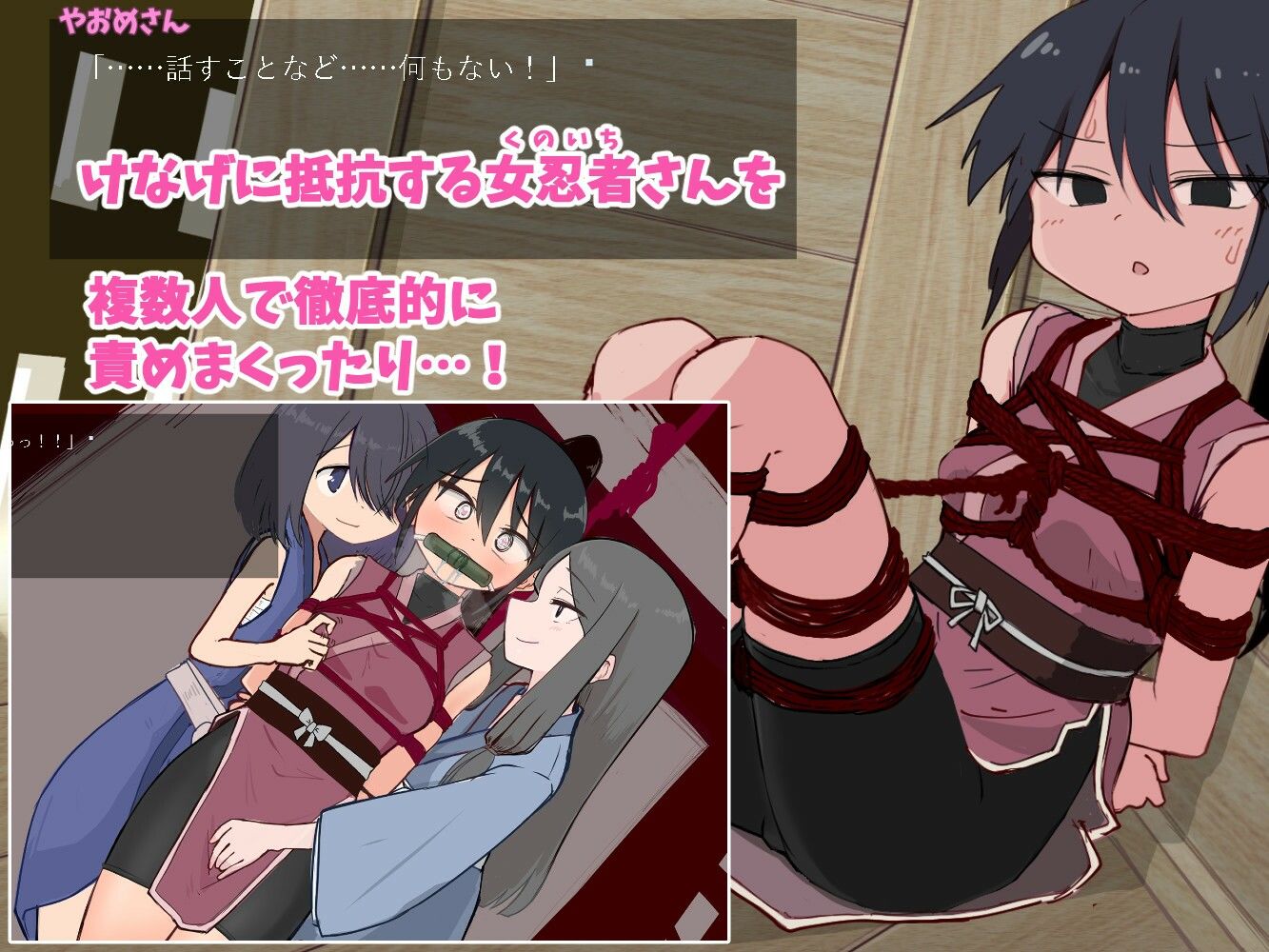 きゃぷてぃぶシミュレーターの画像4