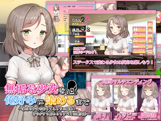 『d_637490』無垢な少女を俺好みに染めるまで〜家なき少女を拾ってえっちに開発！ 甘やかすも虐めるもすべては俺次第〜のパッケージ