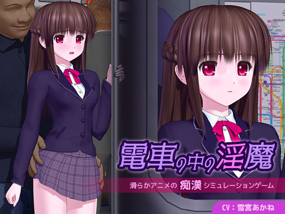 《d_655789》電車の中の淫魔のパッケージ画像