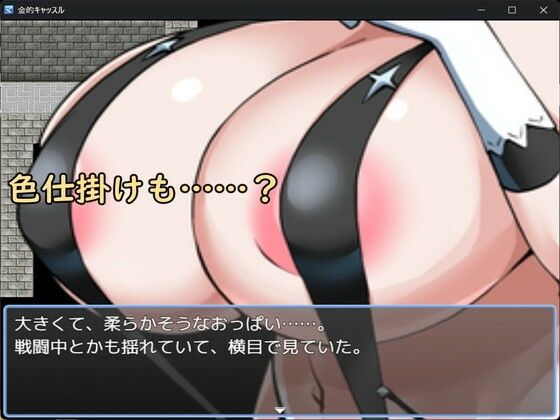 金的キャッスルの画像6