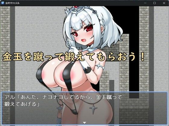金的キャッスルの画像7