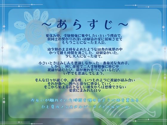 地味な幼馴染とHな性活 (dgame jp-002)