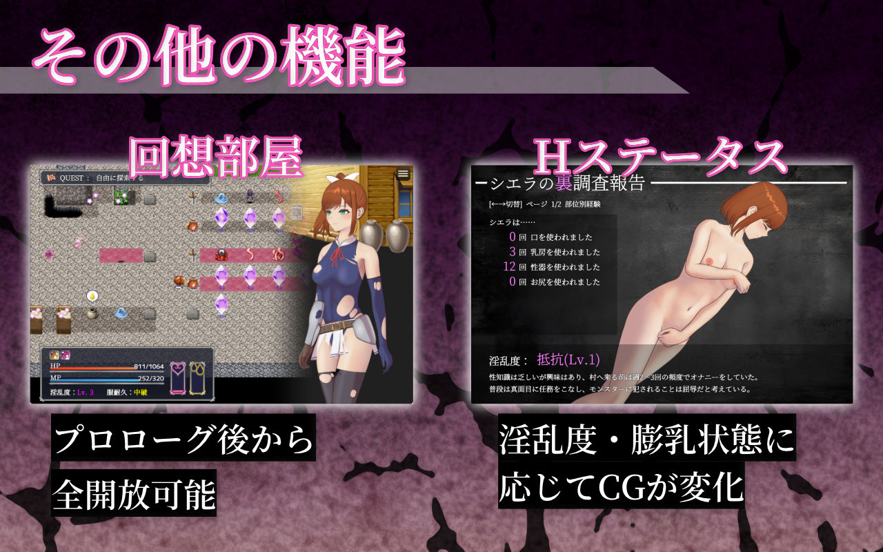 シエラの淫らな異変調査 -女剣士はソロでイク-のサンプル画像 6