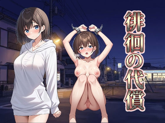 徘徊の代償 (dgame pr)