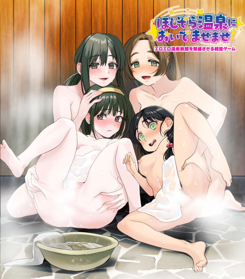 エロエロ温泉旅館を繁盛させる経営ゲーム    ほしぞら温泉においでませませ！ (dgame jp-001)