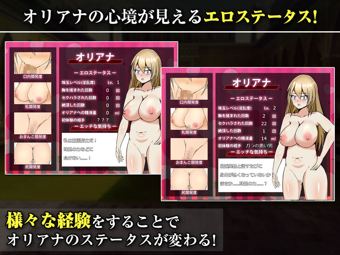 王国の勇騎士オリアナのサンプル画像 5