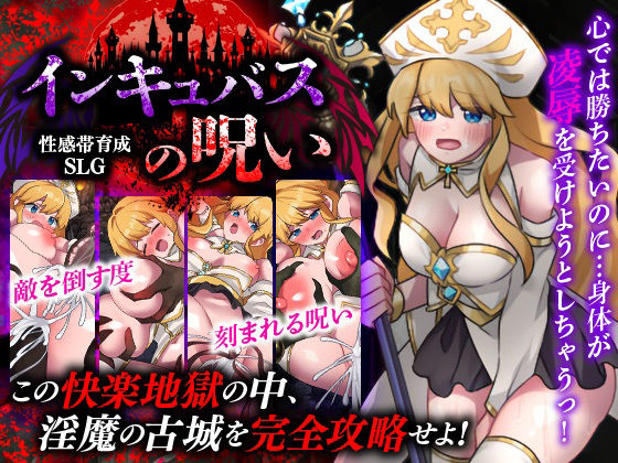 性感帯育成SLG インキュバスの呪い (dgame)