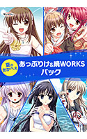 【期間限定】夏のあかべぇあっぷりけ＆暁WORKSパック