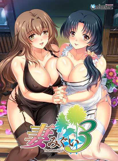 妻みぐい3 