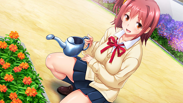 【DL版】【期間限定】サイミンアプリセット 