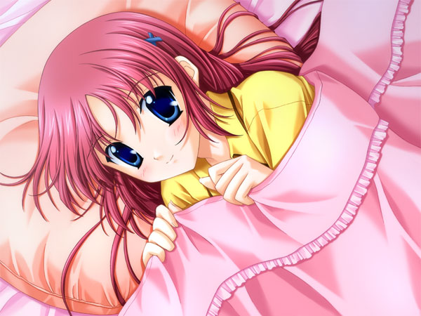 【期間限定】D.C.シリーズ入門パック（I〜5） 画像2