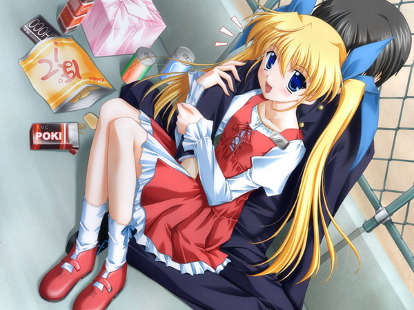 【期間限定】D.C.シリーズ入門パック（I〜5） 画像5