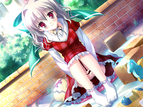 【期間限定】D.C.シリーズ入門パック（I〜5） 画像8