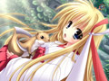 巫女・RPG・辱め・触手・デモ・体験版あり・ファンタジー