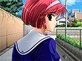 シャングリラマルチパック【Windows10対応】 