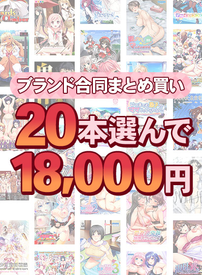 【アダルトゲーム】【まとめ買い】1，400作品以上から20本選んで18，000円！秋のブランド合同まとめ買い
