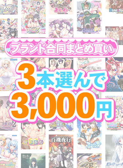 【まとめ買い】1，500作品以上から3本選んで3，000円！冬のブランド合...のタイトル画像