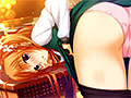 サンプル画像3