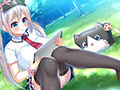 サンプル画像4