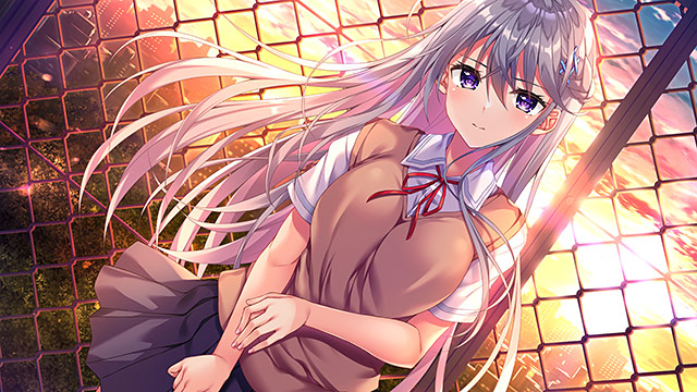 【アダルトゲーム】【期間限定】あざらしそふとの詰め合わせセット イメージ5