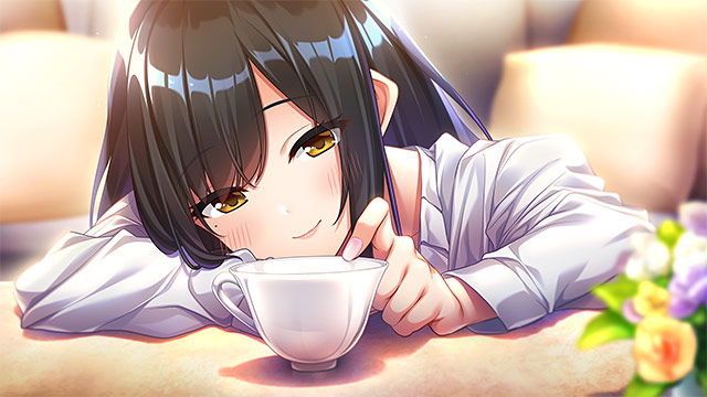 【アダルトゲーム】【期間限定】あざらしそふとの詰め合わせセット イメージ8