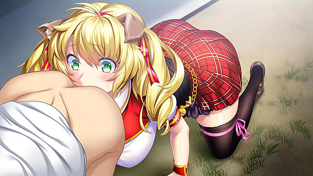 【期間限定】 プレイ!プレイ!プレイ!最新作入り3本セットのサンプル画像11