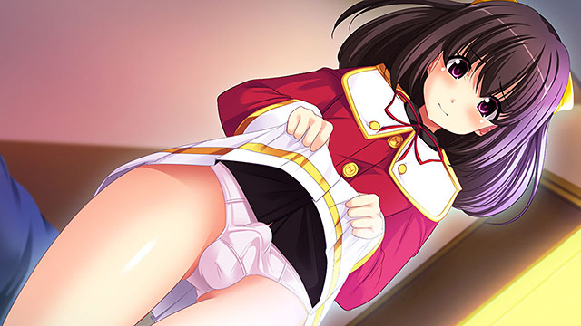 【まとめ買い】5本買って2，222円！3ブランド合同パックのサンプル画像20