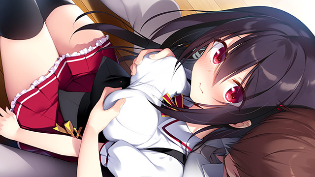 【まとめ買い】シルプラ作品で年越し！6本選んで10，000円 画像4