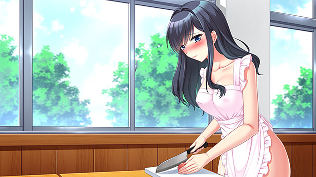 人妻学園1.2COMPLETEプラス 1枚目