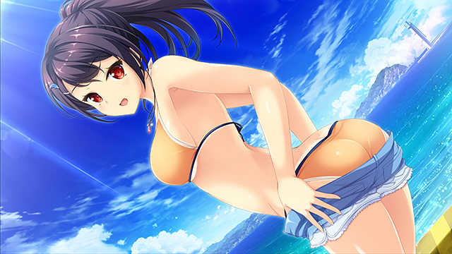 【まとめ買い】5本選んで5,000円!ウィルプラス作品まとめ買い 画像14