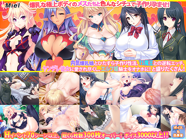 【アダルトゲーム】【期間限定】【新春福袋】陰キャ巨乳、魔王様、ヤンデレ、エルフ色々な女子と楽しめる！