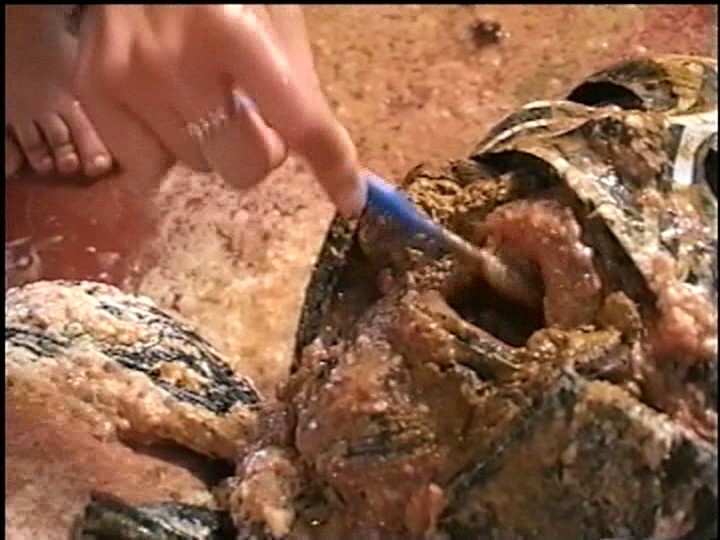 WSCD-03 Part 14 - 56 minutes