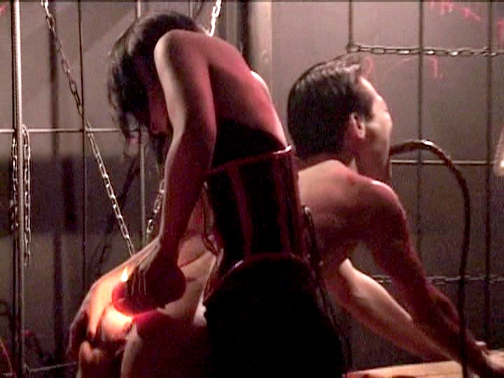 QLS-009 第 11 部分 - 60 分钟