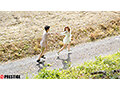 ABF-277 thumbnail 1 In the countryside, with a childhood friend, he reveals his feelings and spends his days in passionate sex. Case 15 Seo Rin