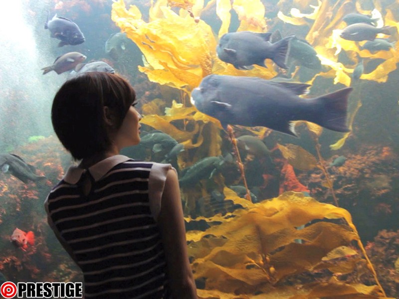 ABP-371 パート 2 - 41 分