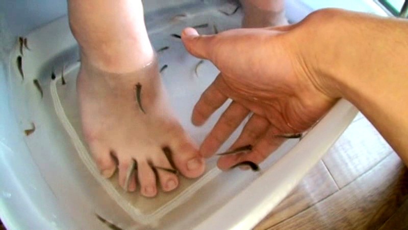 DOM-028 Part 1 - 30 minutes