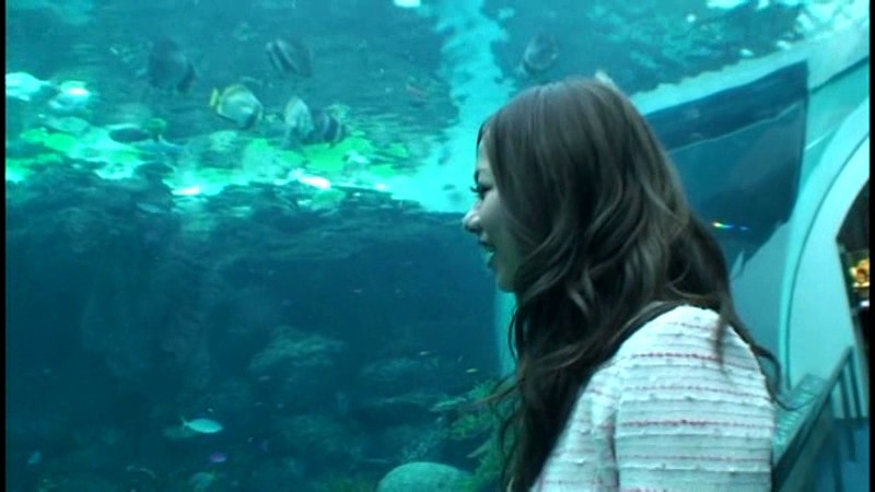 JCN-018 パート 1 - 30 分