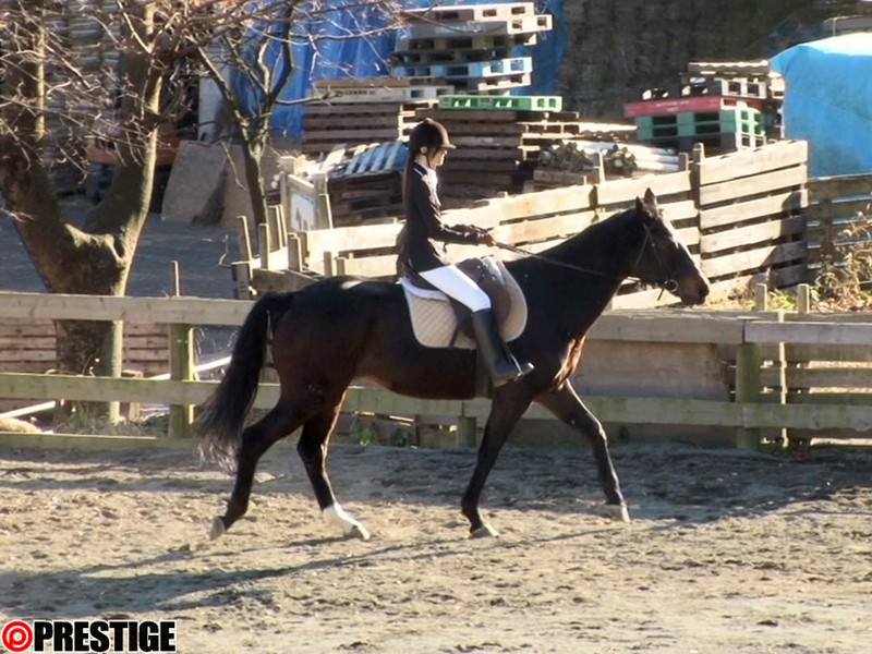 SRS-023 第 2 部分 - 43 分钟